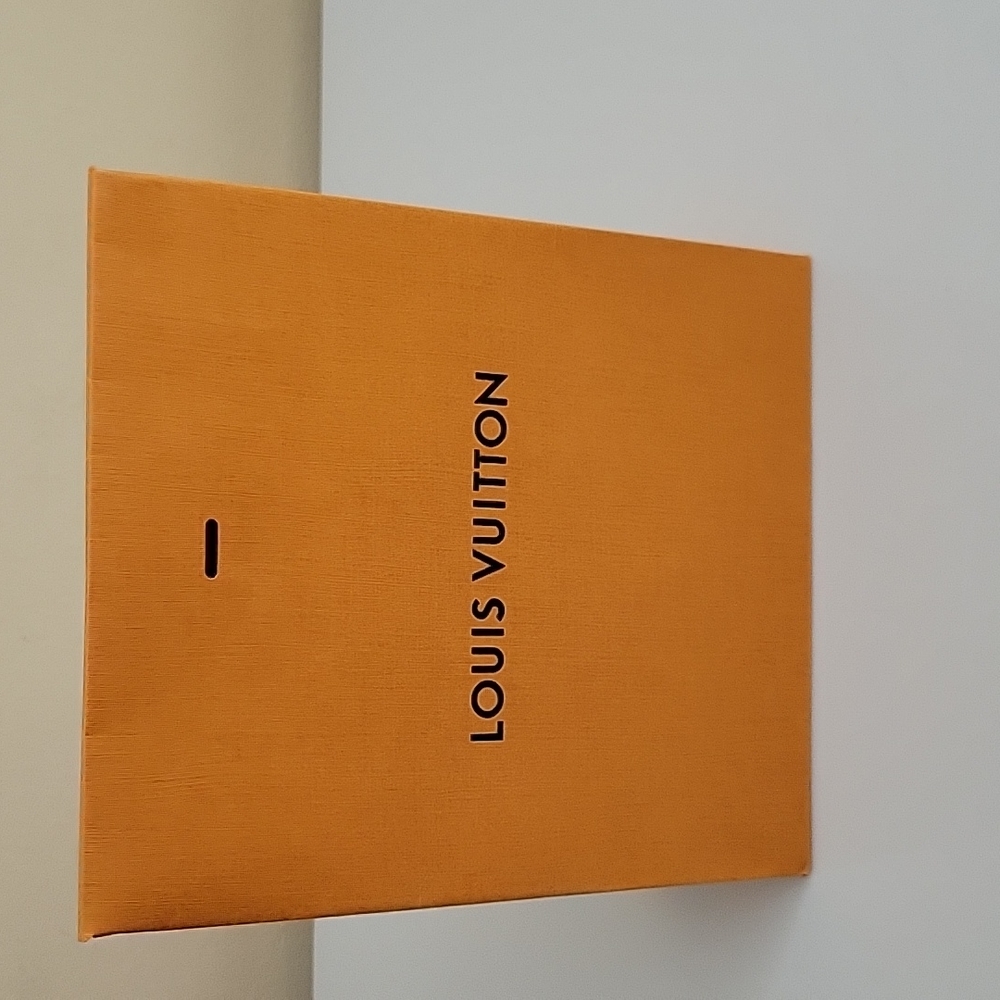 Louis Vuitton Small gift bag